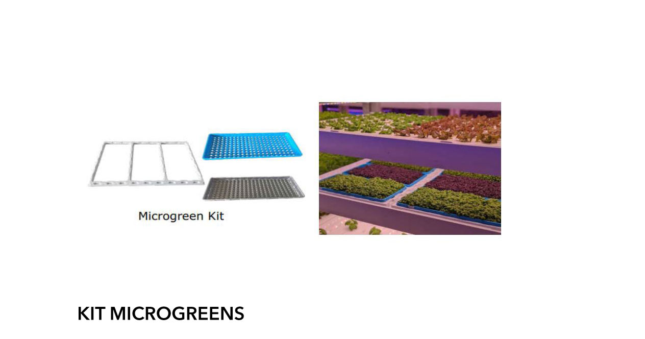 laboratorio green scuole vertical farm kit microgreens