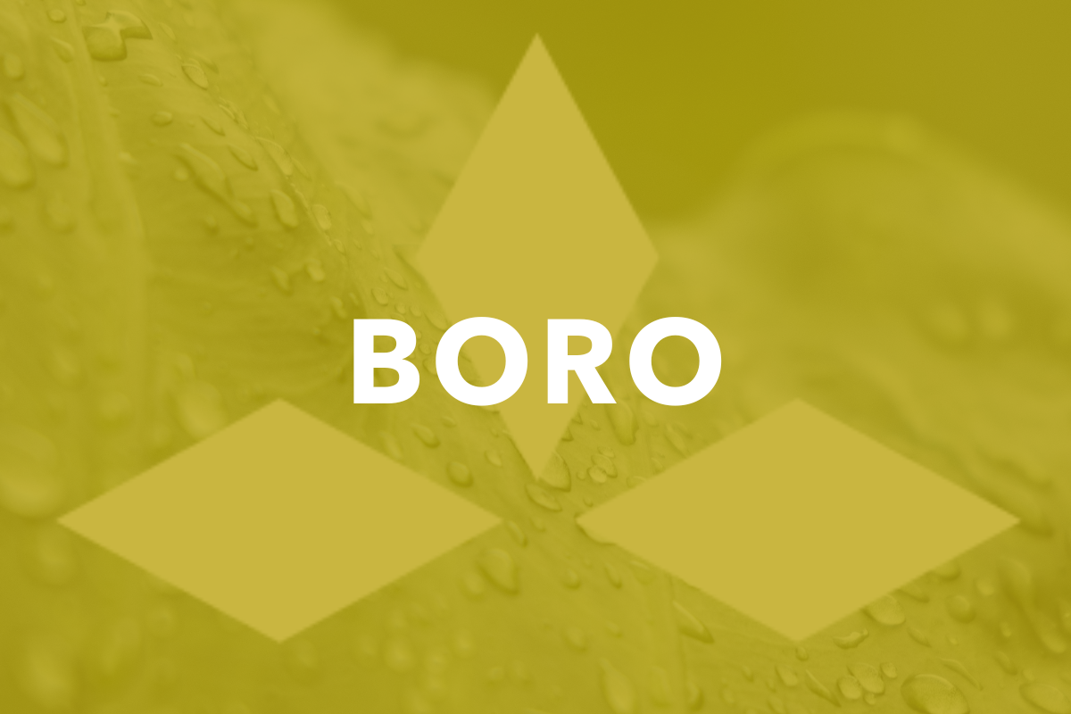 Boro_Ageon