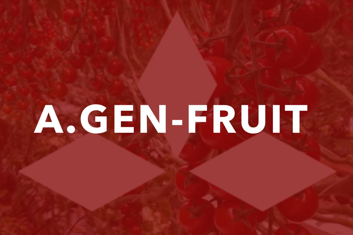 A.GEN-FRUIT