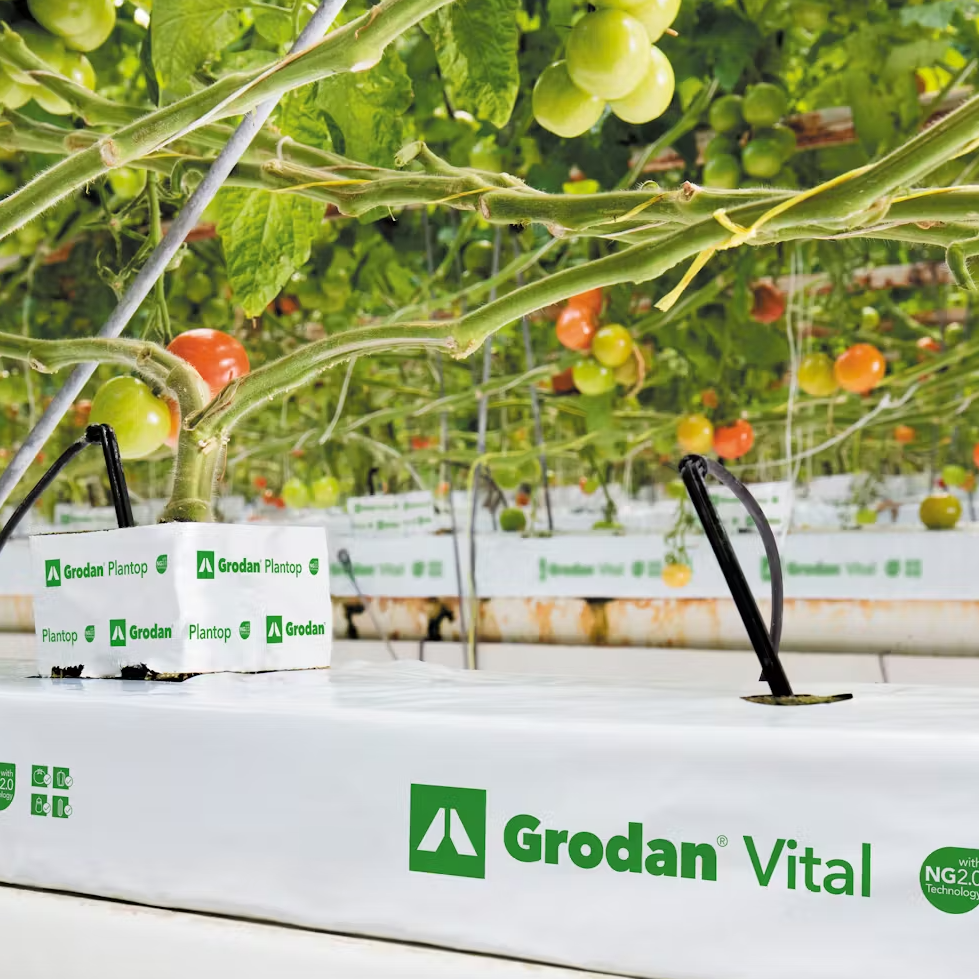 Rockwool_Grodan_Vital