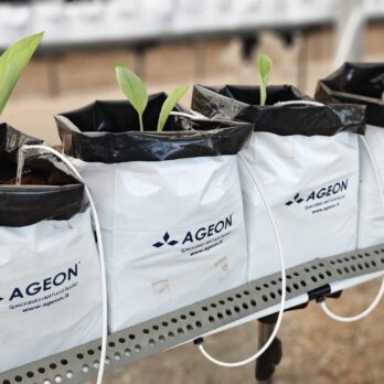 Openbag_Ageon